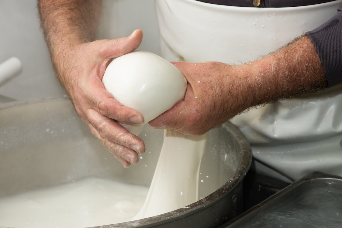 This photo shows a man's hands pulling fresh mozzarella out of a mixing bowl and balling it up.