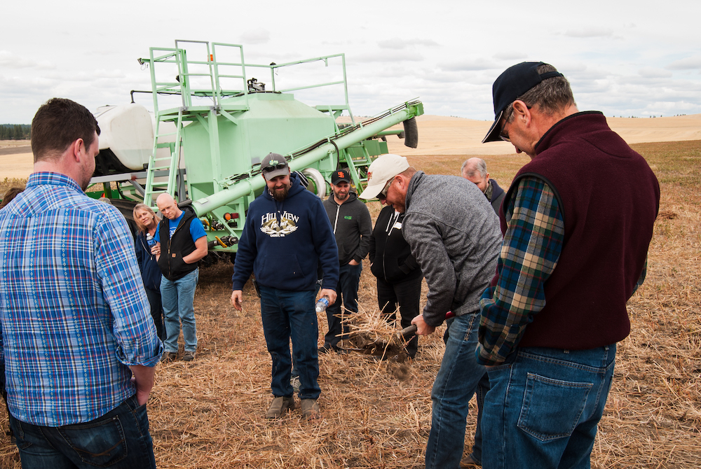 a group of farmers inspect the grain in a field