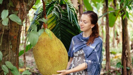This photo shows a young woman holding a huge green jackfruit on a fruit plantation.