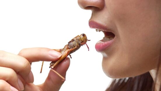 This photo shows an asian female eating fried locust